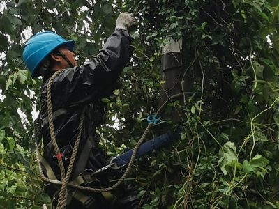 為戰(zhàn)臺(tái)風(fēng)保供電，創(chuàng)輝電氣這樣做